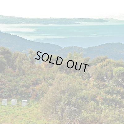 画像3: 携帯用マヌカハニー10+　5g