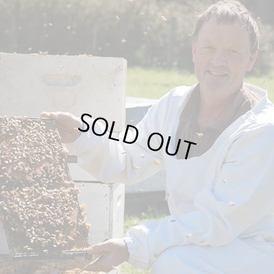 画像6: 携帯用マヌカハニー10+　5g