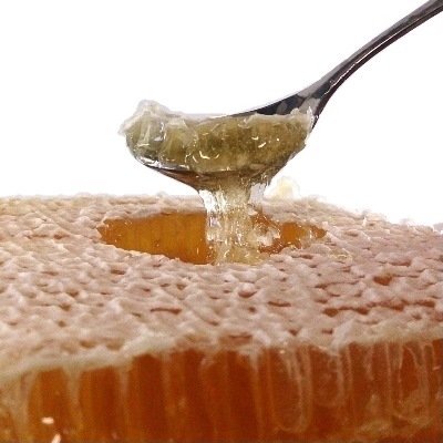 画像2: ハンガリー産　コムハニー(巣蜜)　400g