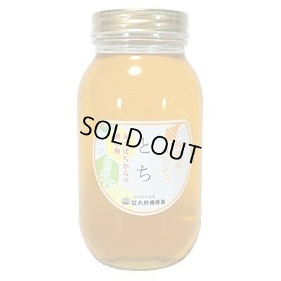 画像1: 純国産はちみつ　とち　1200g