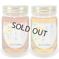 純国産はちみつ450g×2本(さくら／天使のささやき)