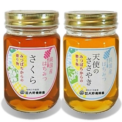 画像1: 純国産はちみつ450g×2本(さくら／天使のささやき)