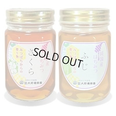 画像1: 純国産はちみつ450g×2本(さくら／ふじ)