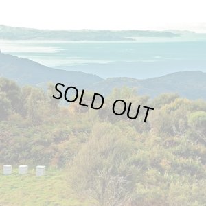 画像3: 携帯用マヌカハニー10+　5g (3)