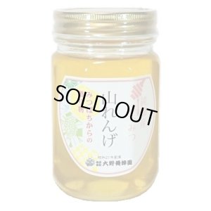 画像1: 純国産はちみつ　山れんげ　450g (1)