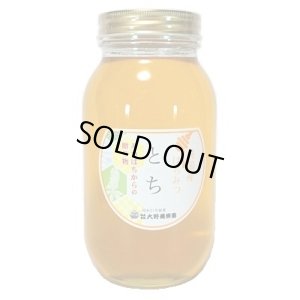 画像1: 純国産はちみつ　とち　1200g (1)