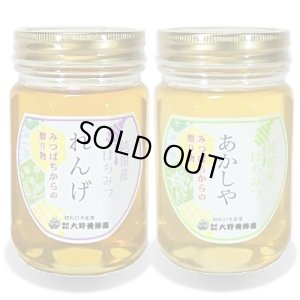 画像1: 純国産はちみつ450g×2本(れんげ／あかしや) (1)