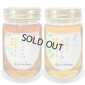 画像1: 純国産はちみつ450g×2本(さくら／天使のささやき) (1)