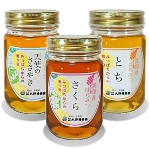 画像1: 純国産はちみつ450g×3本(天使のささやき／さくら／とち) (1)