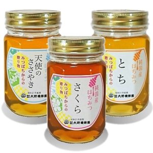 画像1: 純国産はちみつ450g×3本(天使のささやき／さくら／とち) (1)