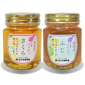 画像1: 純国産はちみつ150g×2本(さくら／ふじ) (1)
