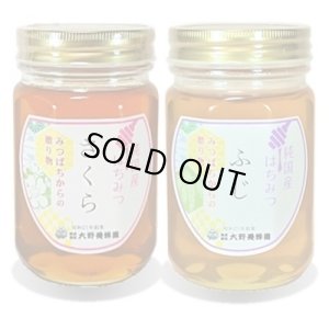 画像1: 純国産はちみつ450g×2本(さくら／ふじ) (1)