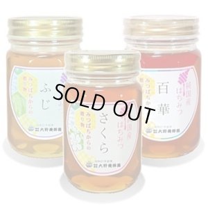 画像1: 純国産はちみつ450g×3本(ふじ／さくら／百華) (1)
